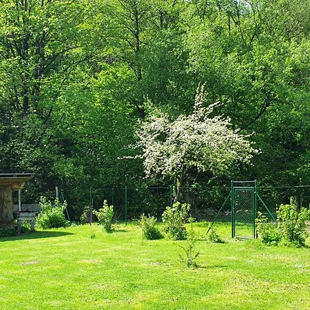 Drevenica Holiday home