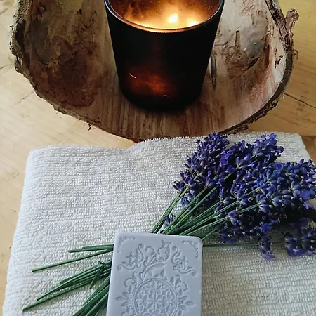 Drevenica Tatil Evi Tisovec