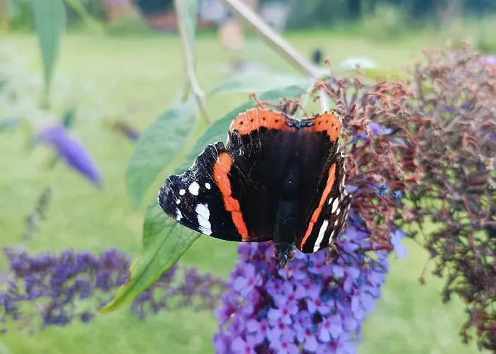 Drevenica Дом отдыха Tisovec