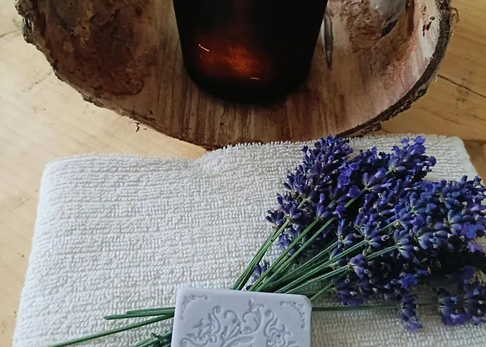 Drevenica Дом отдыха Tisovec